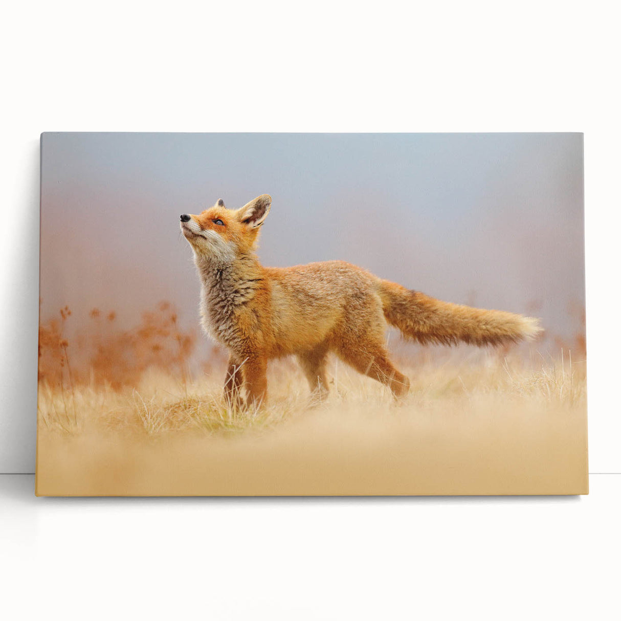 Black and white photographic print of a European cityscape on stretched canvas, ideal for kitchen wall art.