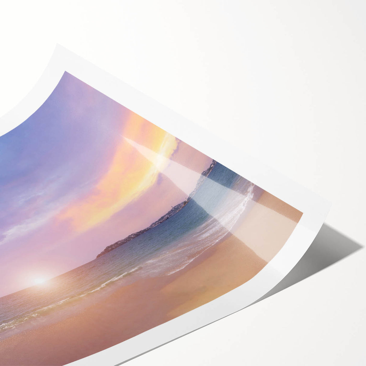 Extra large wall art featuring line art flowers in muted tones on a rolled print, ideal for large living room decor.