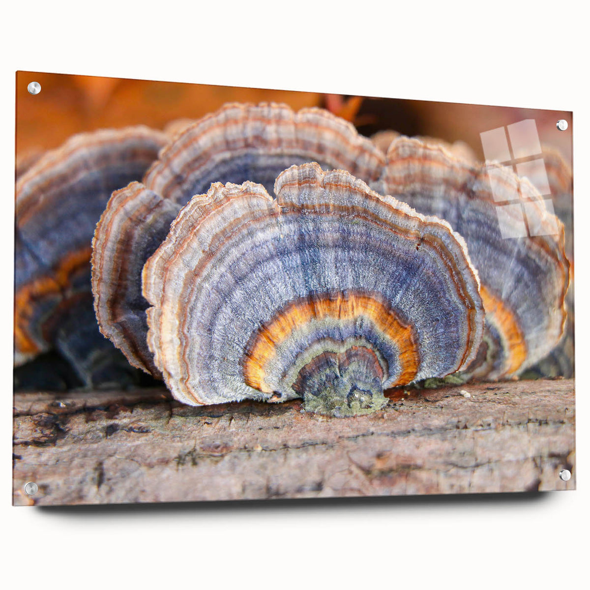 Large abstract wall art of Pennsylvania scenery on acrylic glass, with muted earth tones, ideal for dining room decor.