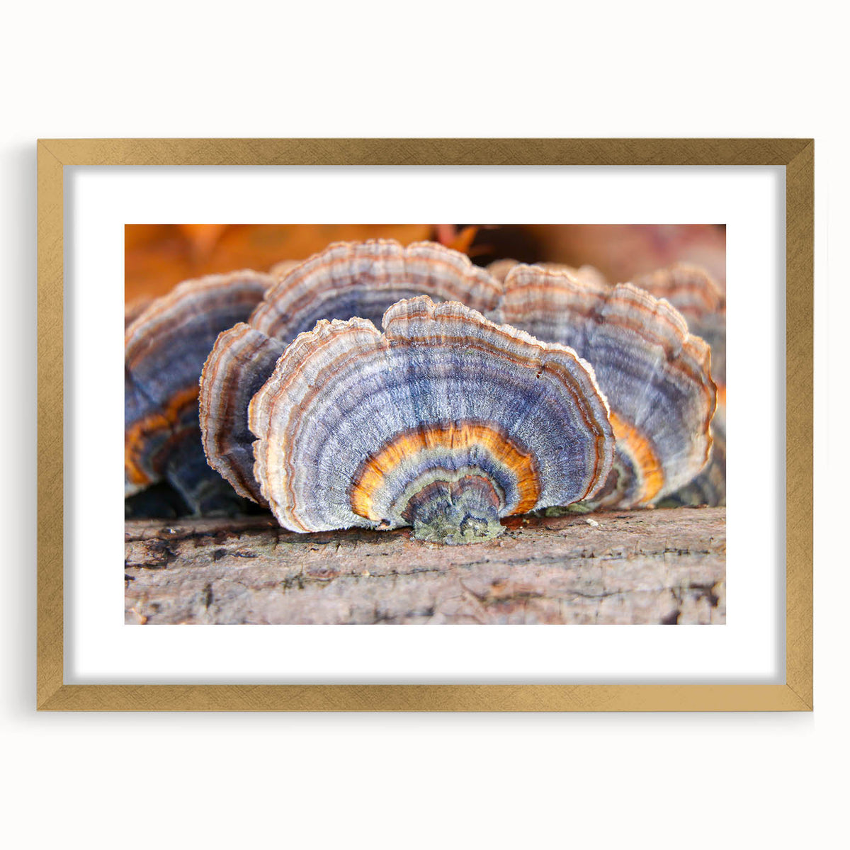 Abstract art print of Pennsylvania scenery in textured gold frame, ideal for living room decor.