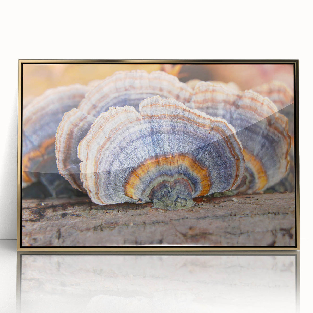 Framed acrylic print of a Pennsylvania landscape in muted earth tones, ideal for modern art wall decor.