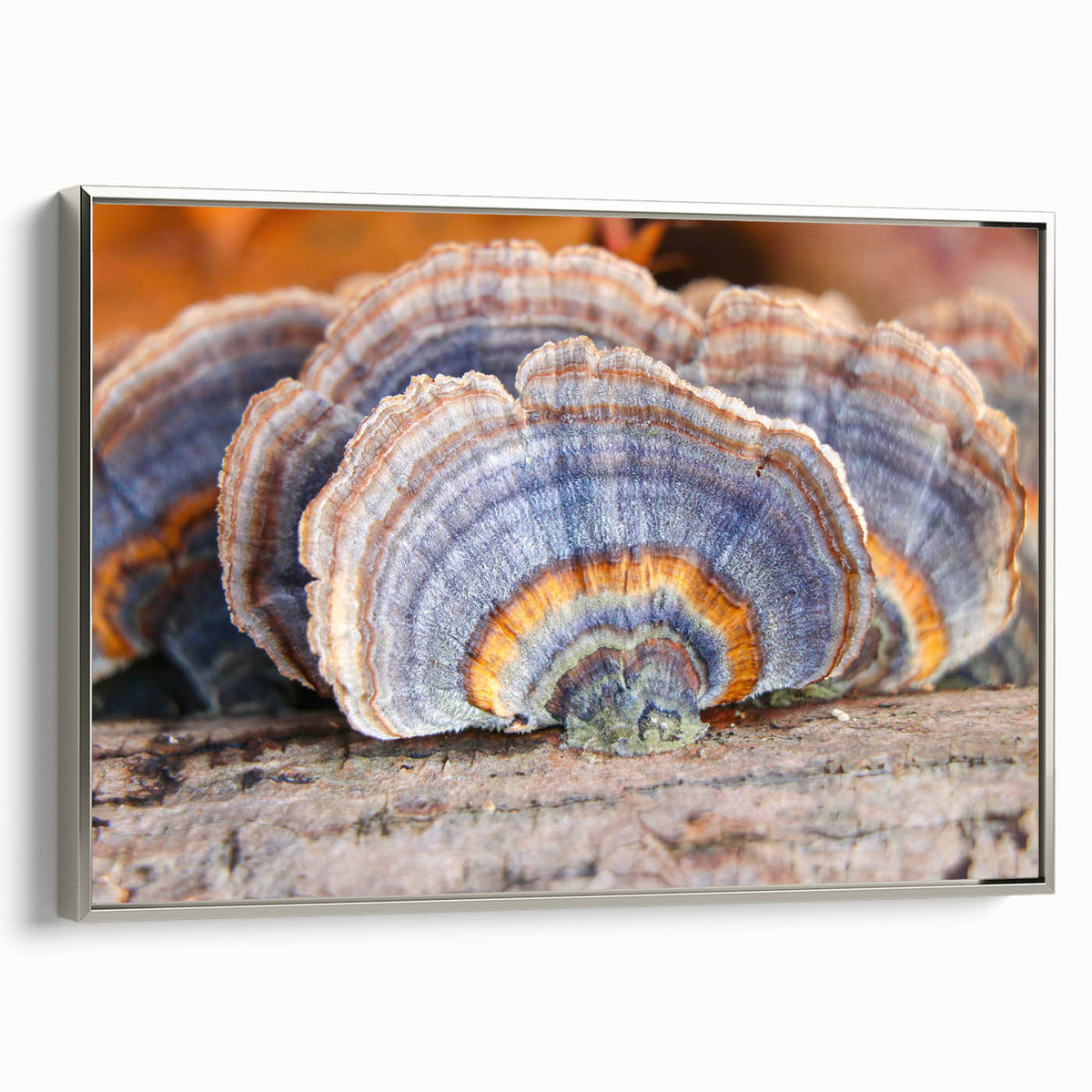 Framed canvas featuring a vintage landscape art painting of Pennsylvania scenery in muted earth tones.