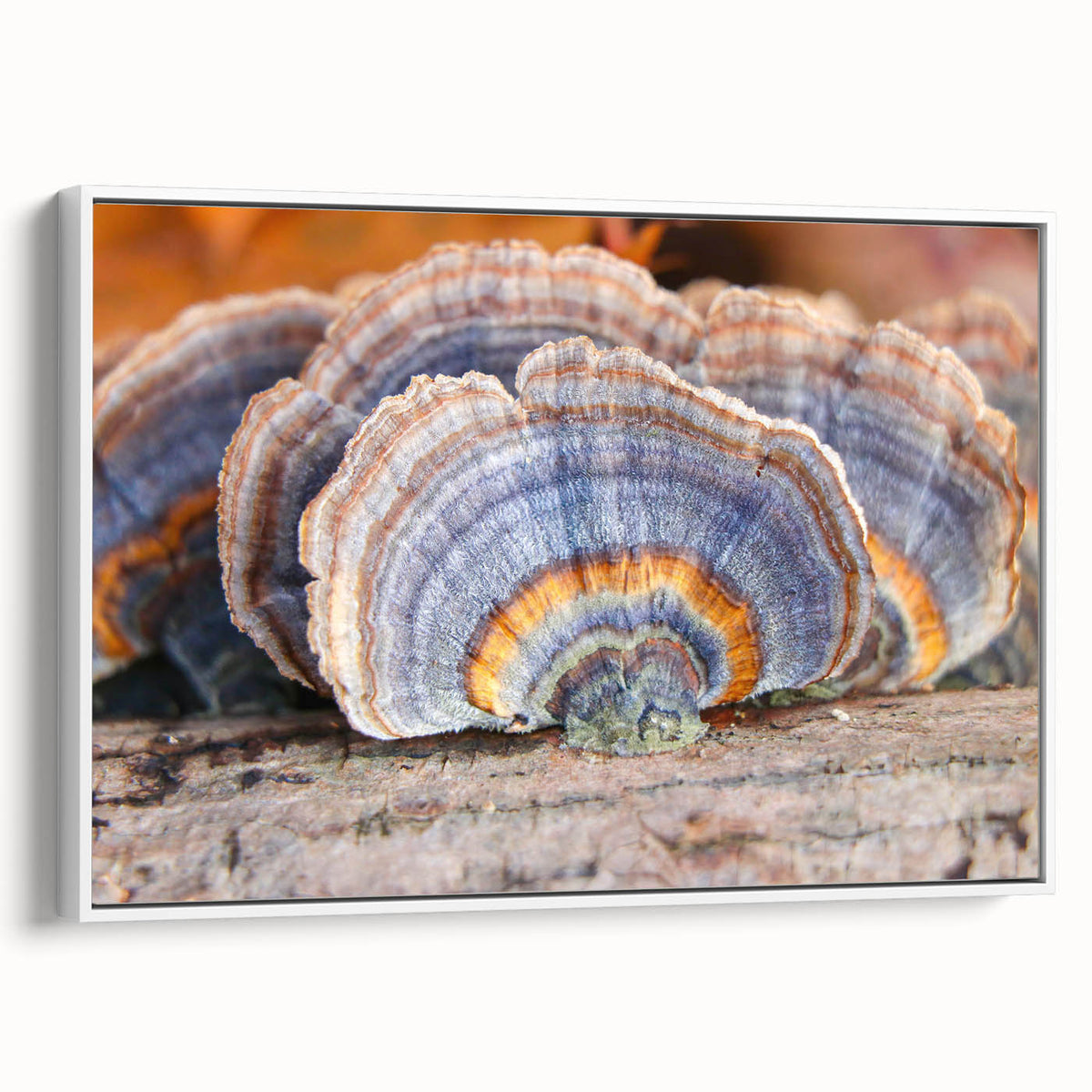 Vintage poster art of Pennsylvania scenery on framed canvas, featuring colorful art in extra large size.