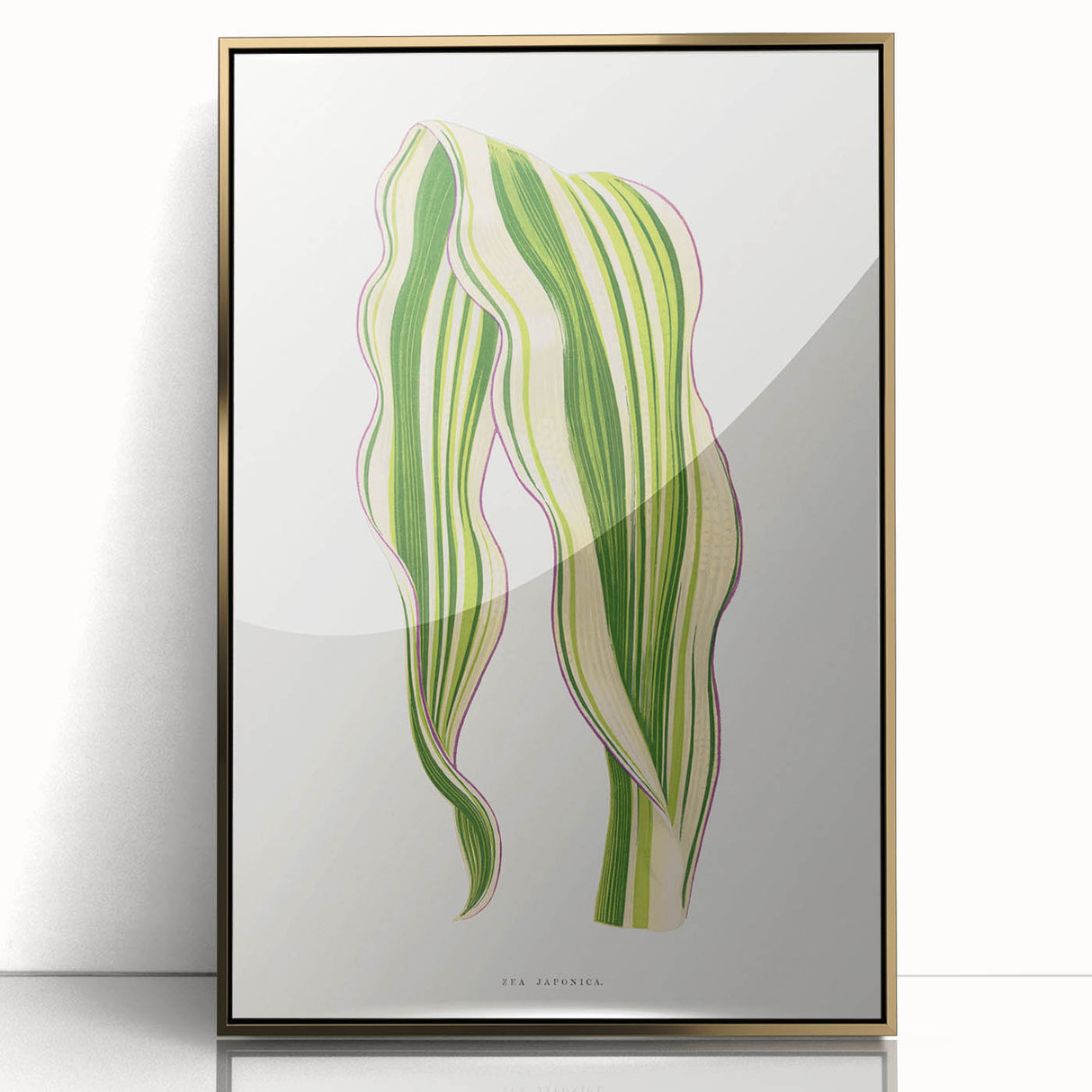 Historical Romanticism Canvas: Green Zea Japonica - Classic Art Prints