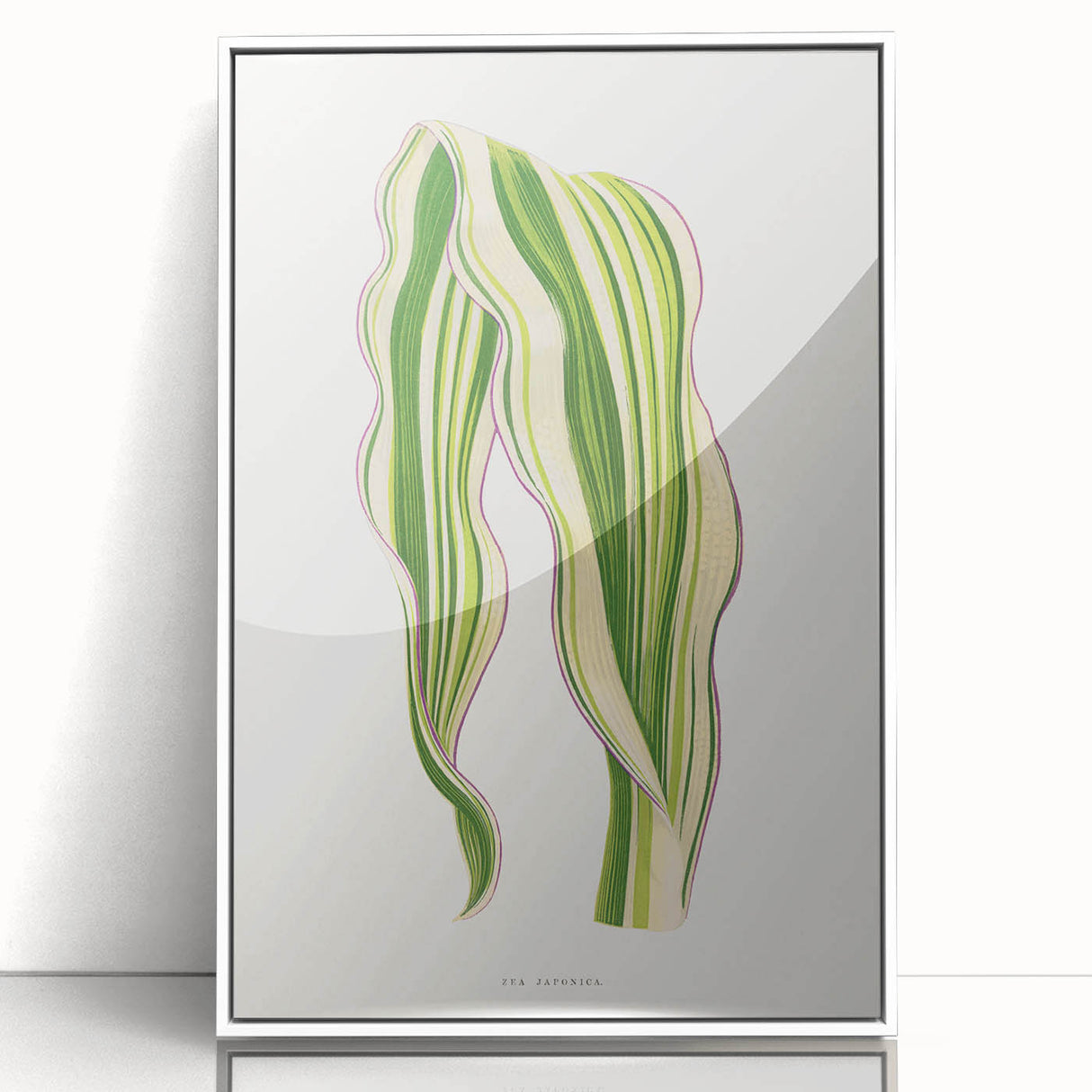 Historical Romanticism Canvas: Green Zea Japonica - Classic Art Prints