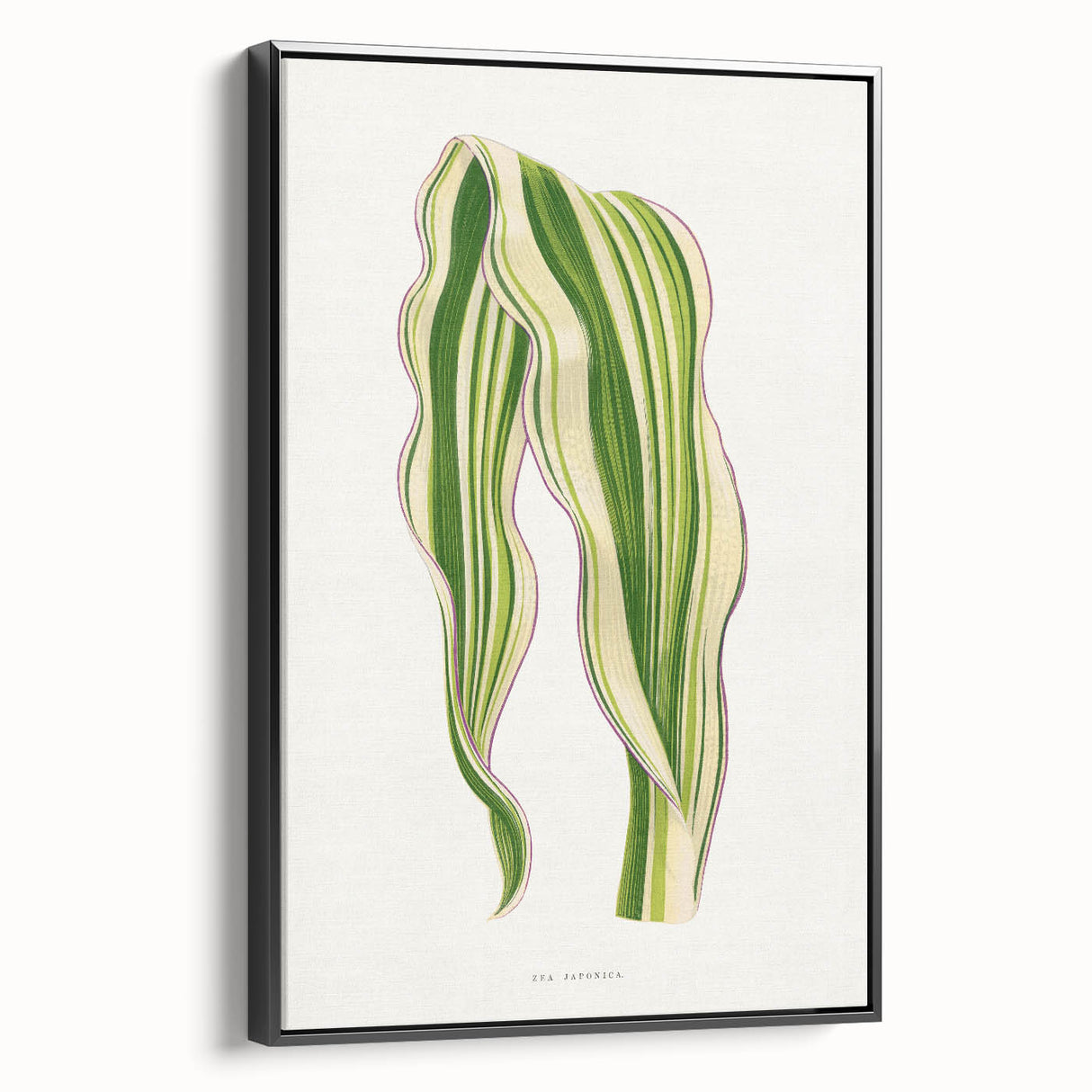 Historical Romanticism Canvas: Green Zea Japonica - Classic Art Prints