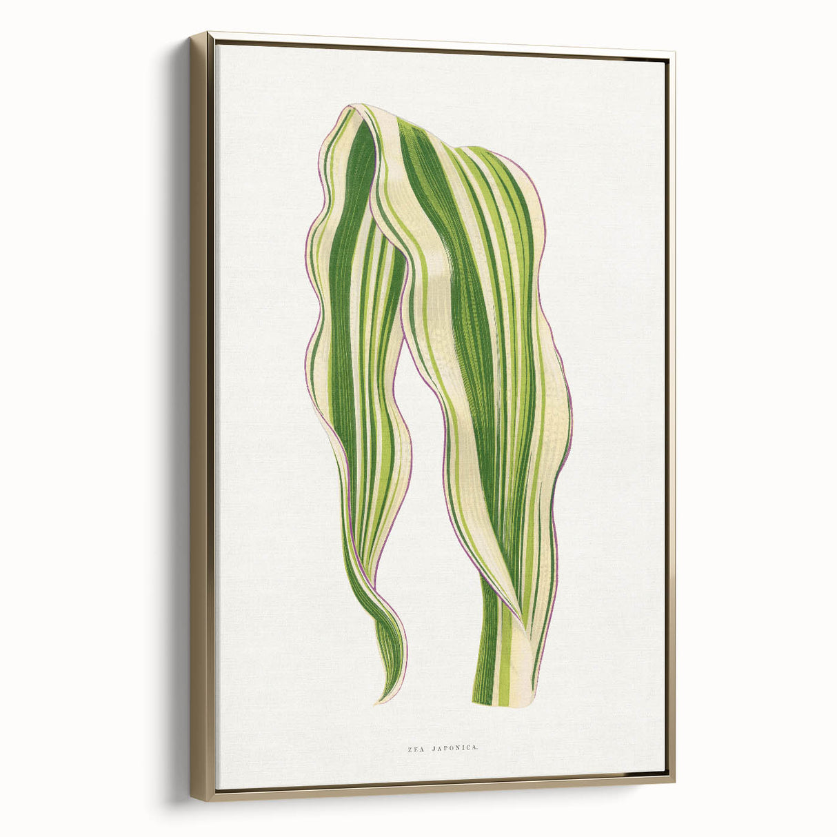 Historical Romanticism Canvas: Green Zea Japonica - Classic Art Prints