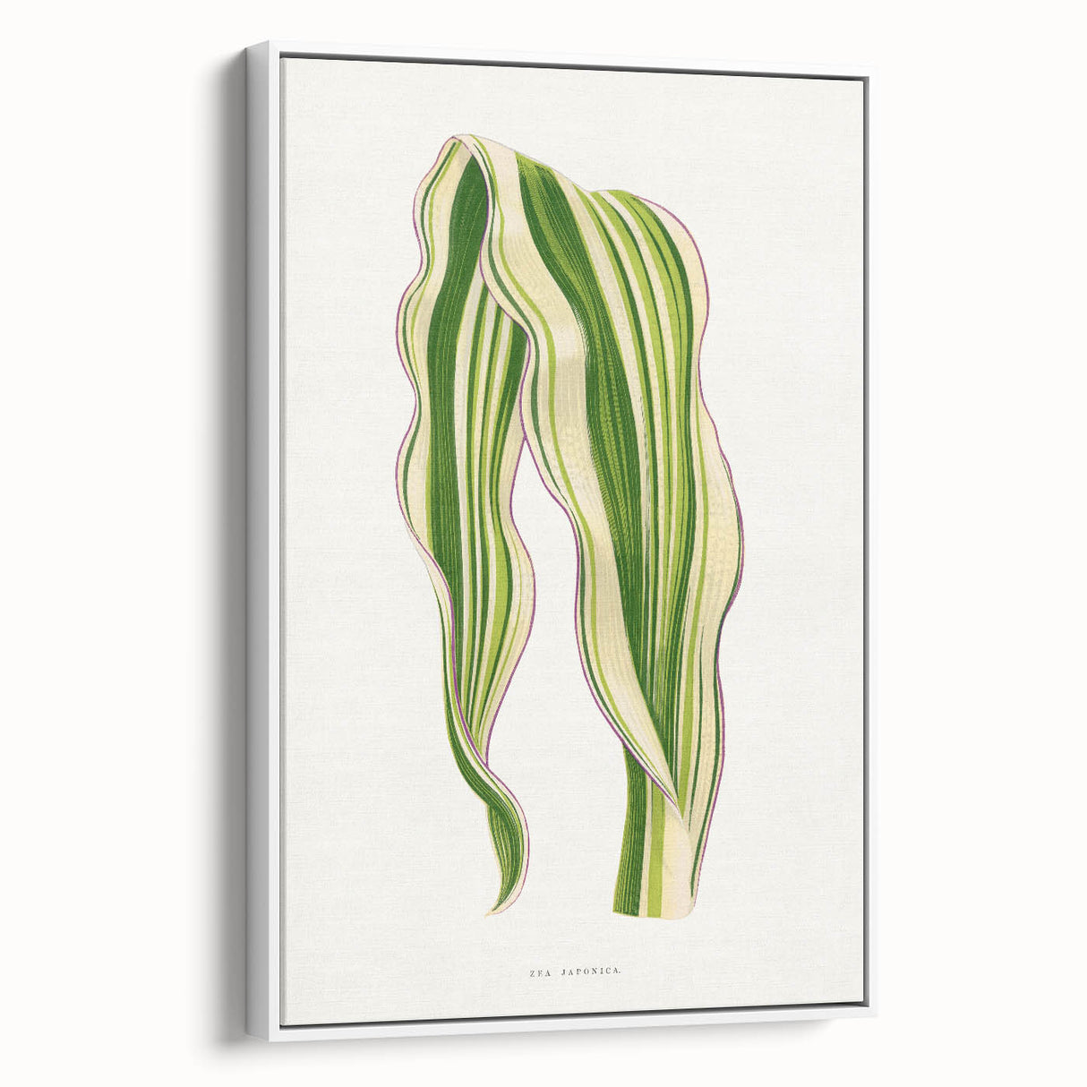 Historical Romanticism Canvas: Green Zea Japonica - Classic Art Prints