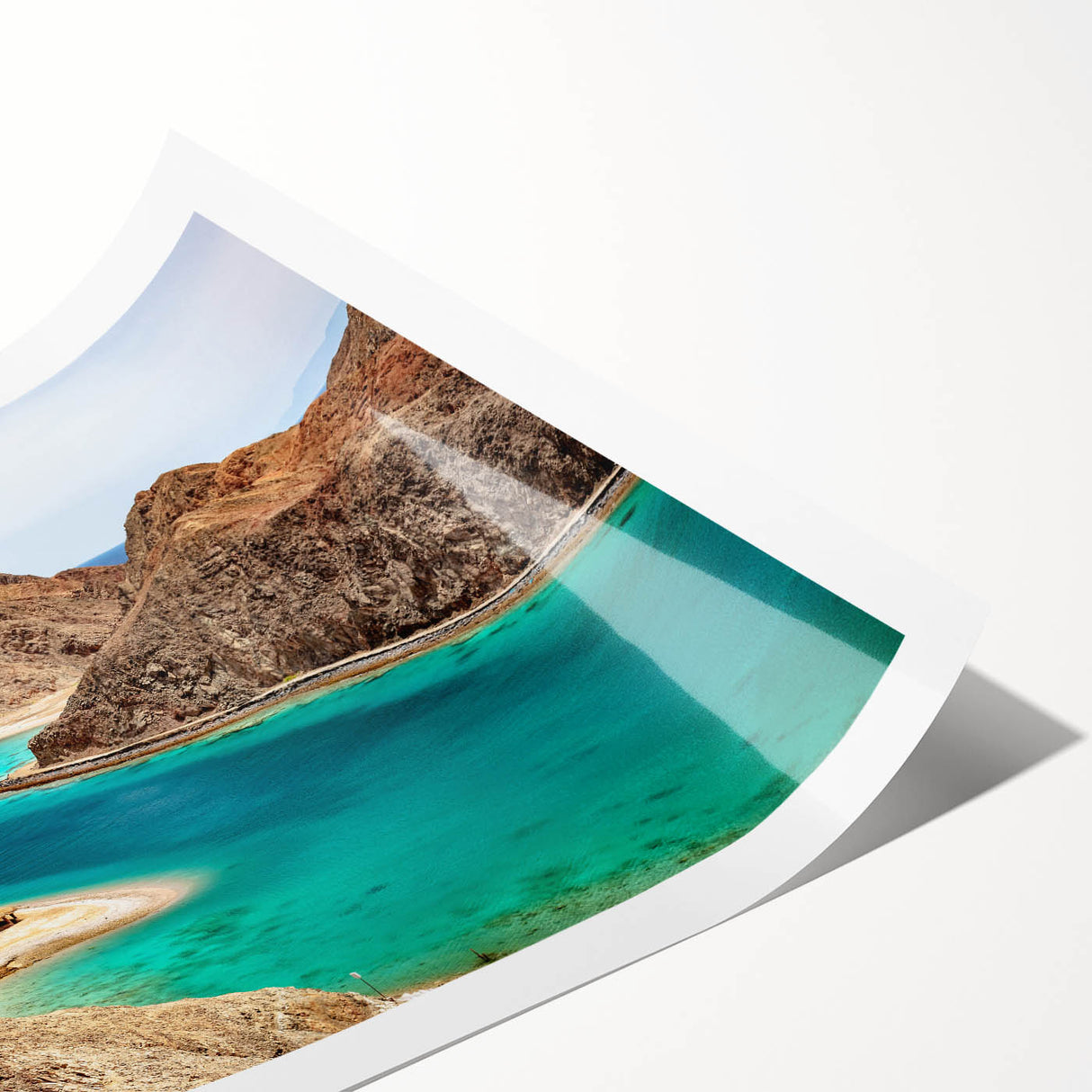 Extra large wall art featuring line art flowers in muted earth tones on a rolled canvas.