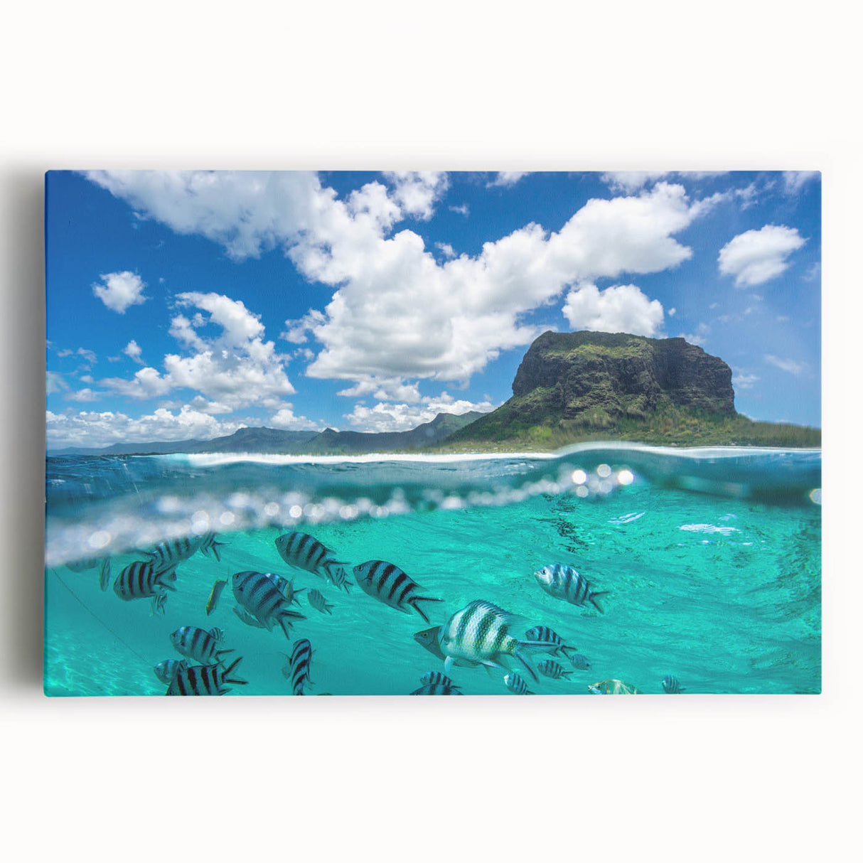 Black and white stretched canvas featuring a serene Mauritius landscape, ideal for kitchen wall art.