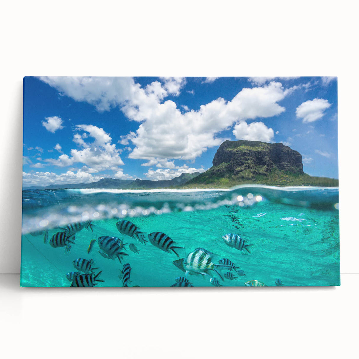 Black and white stretched canvas of Mauritius landscape, ideal for kitchen wall art or bedroom ambiance.