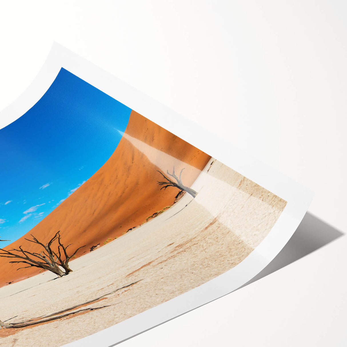 Extra large rolled print of a Namibian landscape with muted earth tones, ideal for classy bathroom wall art.