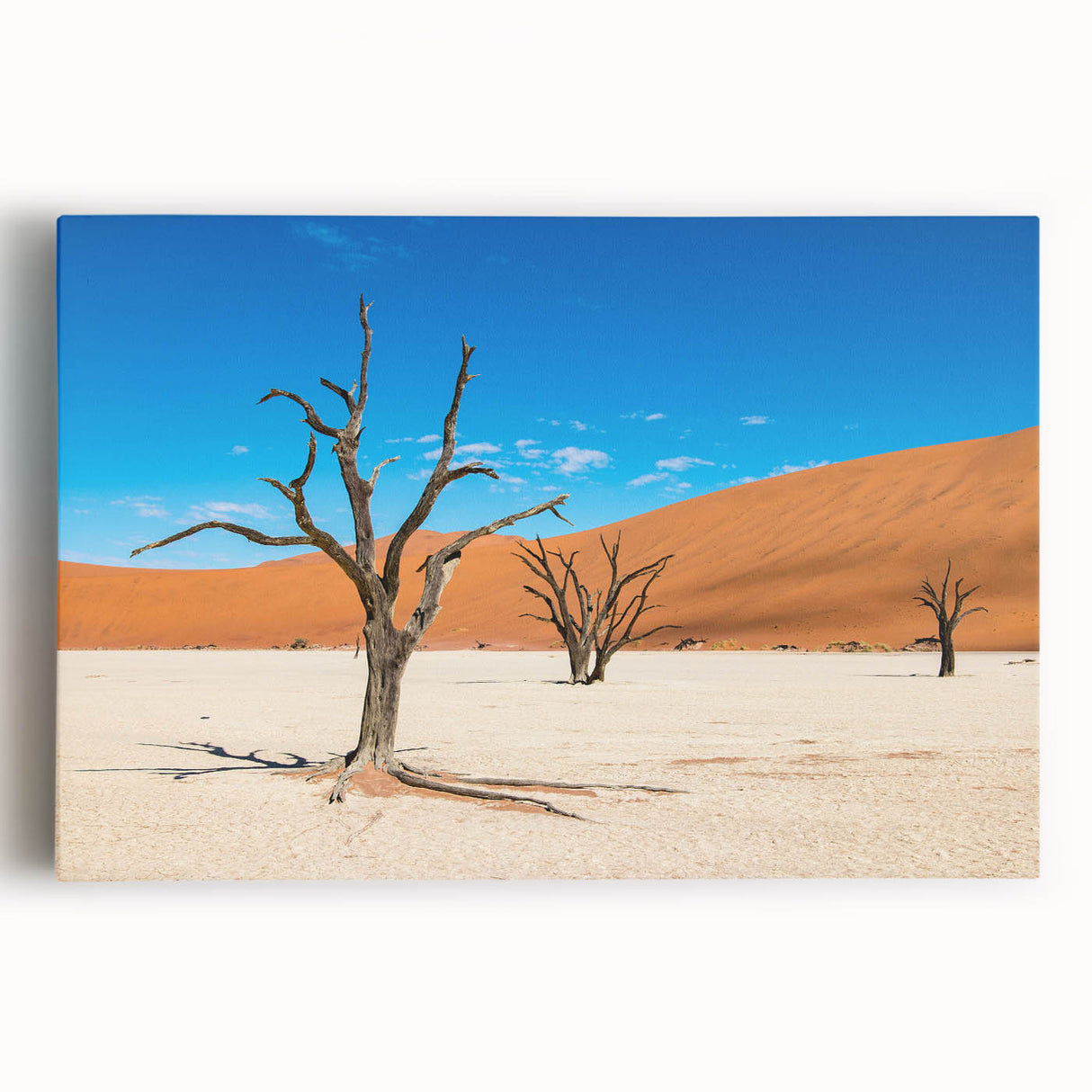 Black and white stretched canvas of Namibian landscape, ideal for kitchen wall art.