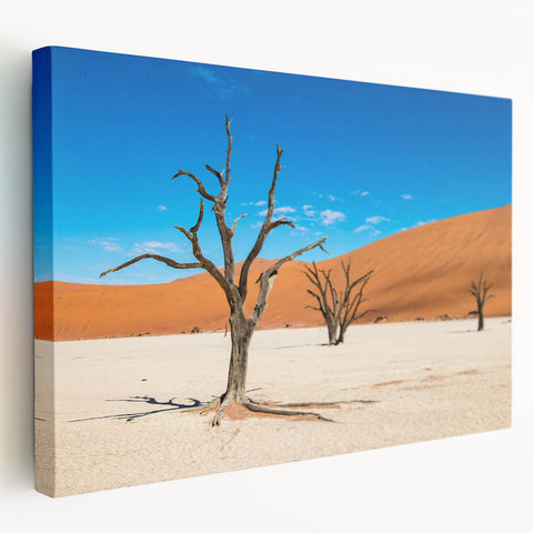 Large canvas print of a Namibian landscape in earth tones, suitable for kitchen wall art.
