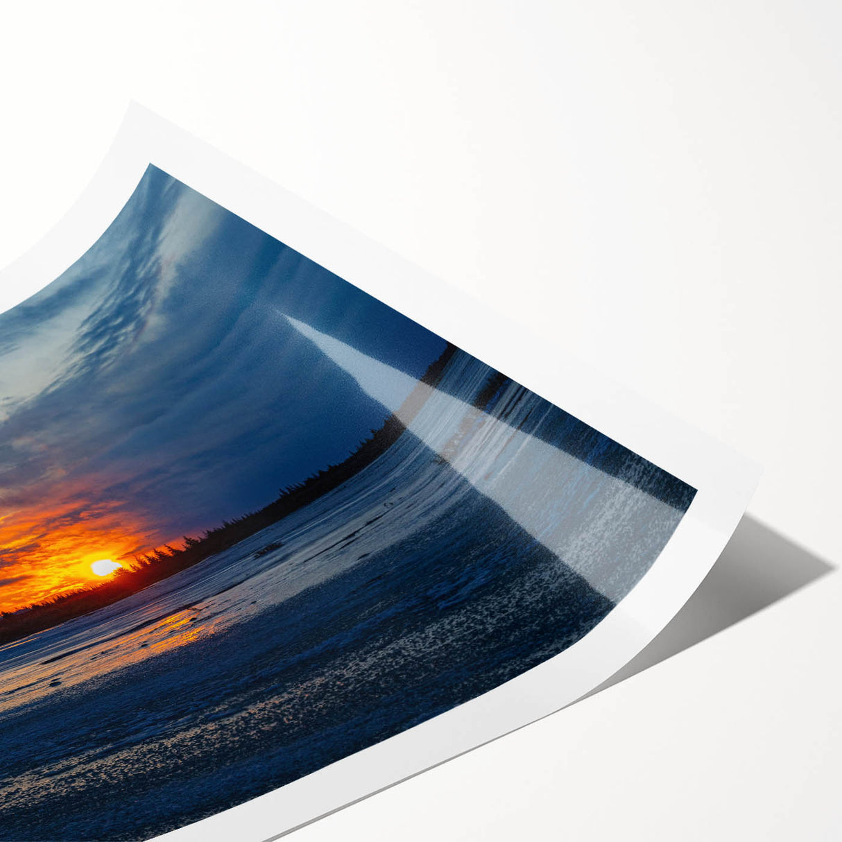 Extra large rolled print of line art flowers in subtle tones, ideal for large living room wall art.