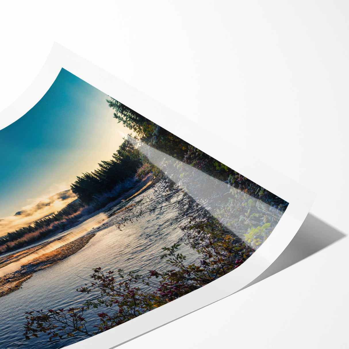 Extra large wall art featuring line art flowers against a muted background, ideal for large living room decor.