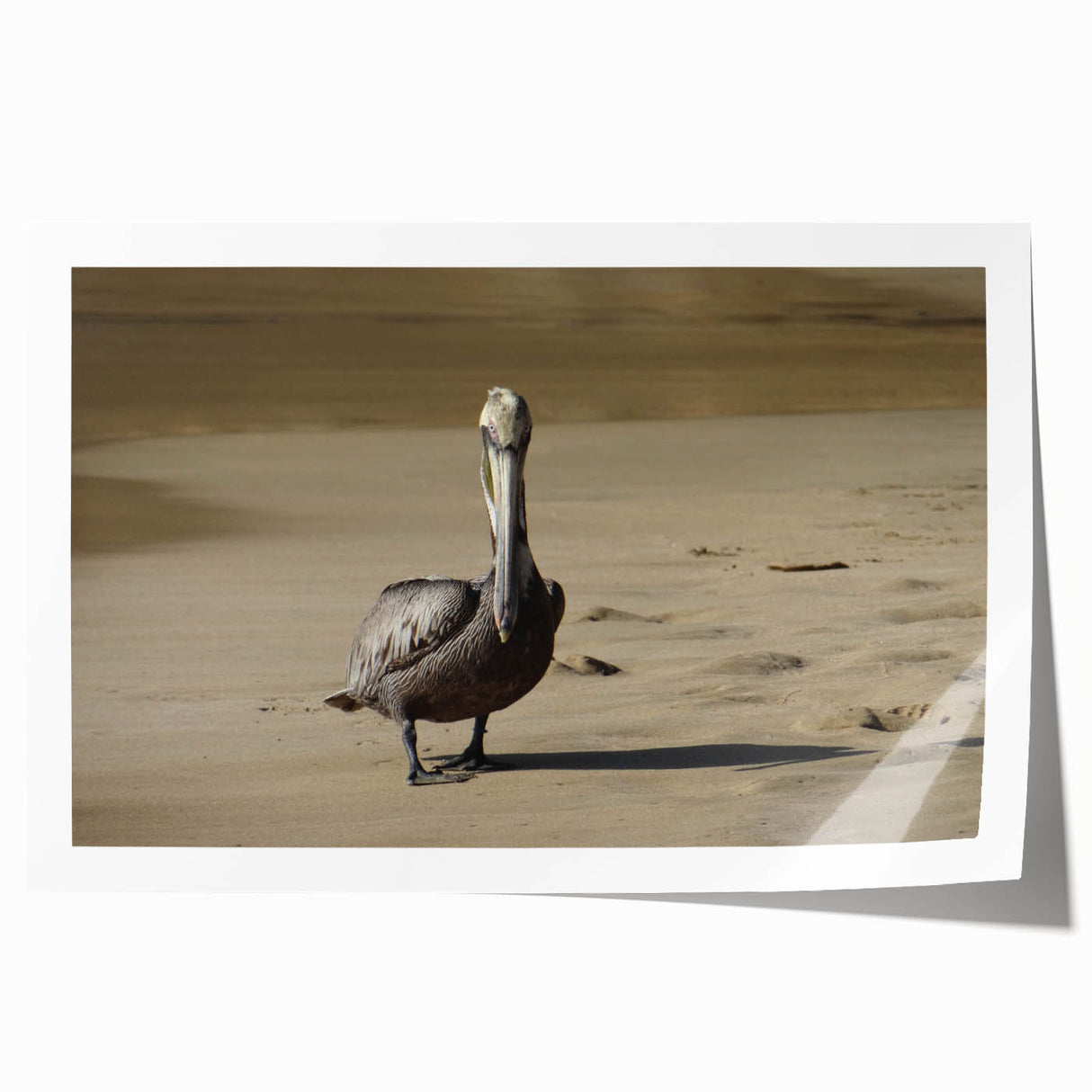 Extra large rolled print of a vibrant Caribbean scene with lush florals.