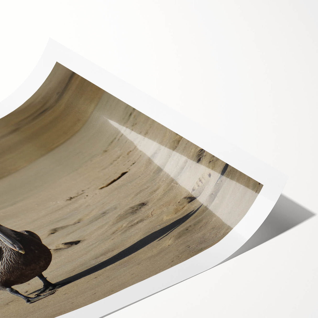 Extra large wall art featuring line art flowers in vibrant colors on rolled print, ideal for large living room decor.