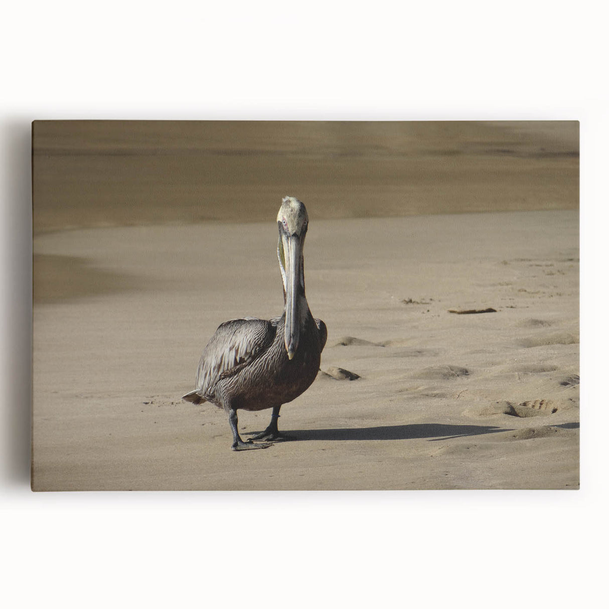 Black and white stretched canvas featuring a serene Puerto Rican coastline, ideal for kitchen wall art.