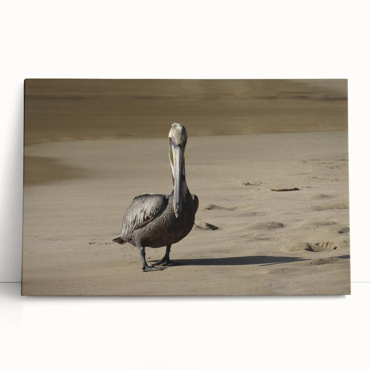 Large black and white photo of a Caribbean scenery on stretched canvas, ideal for kitchen wall art.