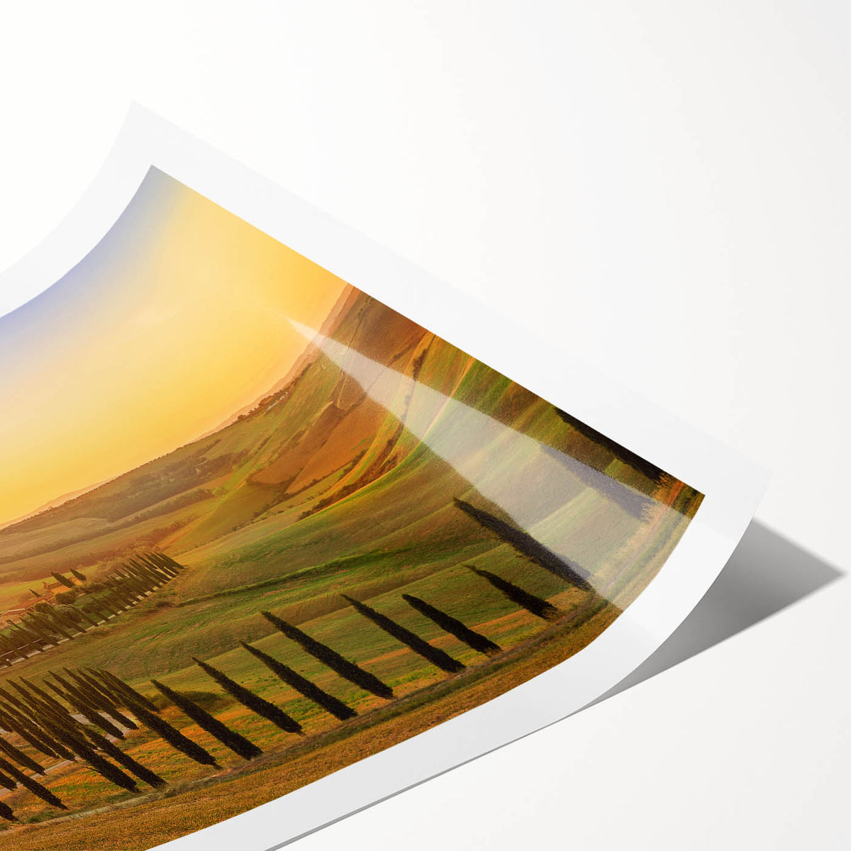 Extra large wall art depicting a Tuscan landscape with line art flowers in muted earth tones on a rolled canvas.