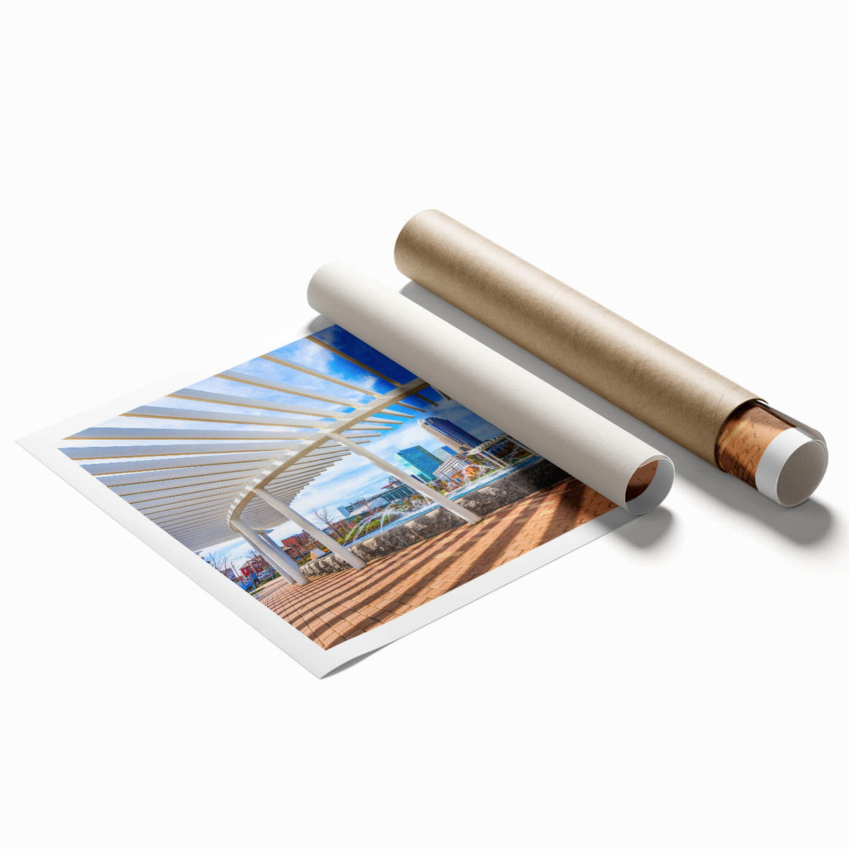 Extra large rolled print of Charlotte, North Carolina skyline with muted floral accents, ideal for classy bathroom wall art.