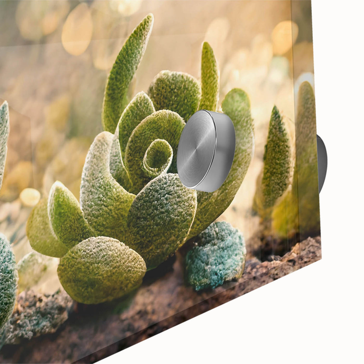 Close-up of abstract floral wall art design on acrylic glass, showcasing vibrant colors and intricate patterns, perfect for modern home decor.