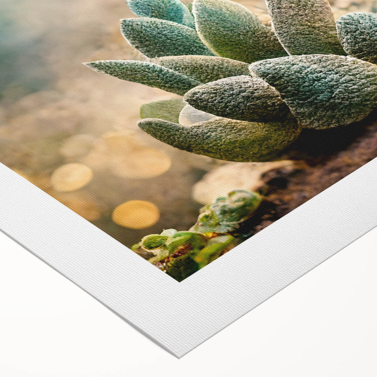 Abstract floral wall art on rolled canvas showcasing vibrant colors like teal, pink, and gold, ideal for modern home decor. Perfect for enhancing living spaces.