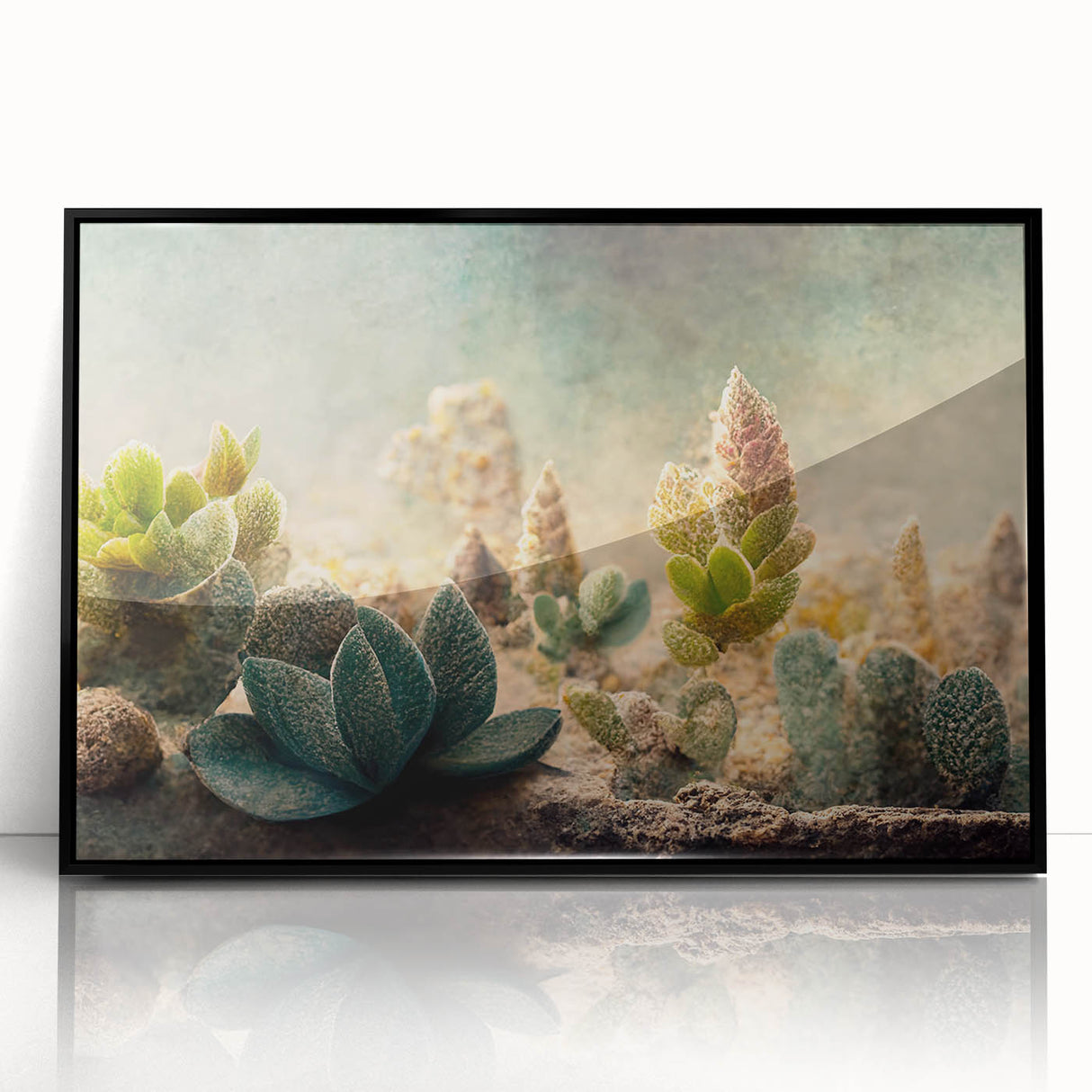 Framed abstract floral wall art in black acrylic, showcasing vibrant colors and intricate designs, perfect for modern home decor or office spaces.