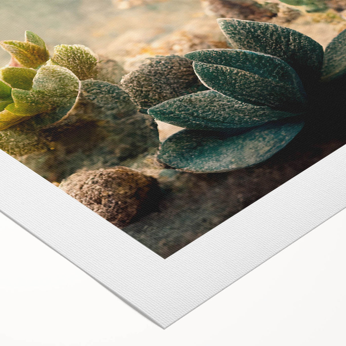 Vibrant abstract floral wall art on rolled canvas, showcasing bold colors like pink, blue, and green, ideal for modern home decor and artistic expression. Perfect for adding a touch of elegance to any space.