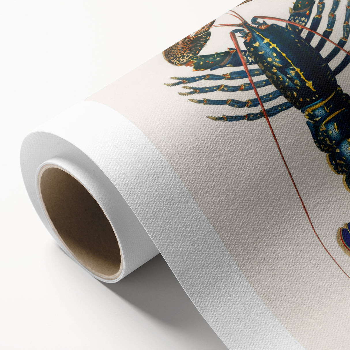 Romantic Era Art: Blue Lobster Illustration by Charles Dessalines d’Orbigny