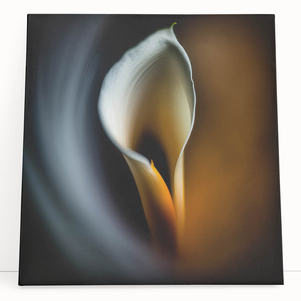 Abstract floral wall art on stretched canvas, showcasing vibrant colors and intricate patterns, perfect for modern home decor. Leaning against a neutral wall, it adds a touch of elegance and creativity to any space.