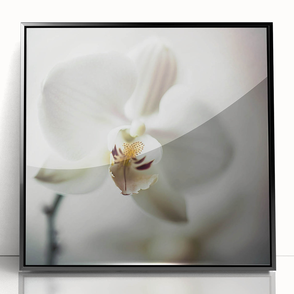 Framed abstract floral wall art showcasing vibrant colors and intricate designs, encased in a sleek black frame, perfect for modern home decor.