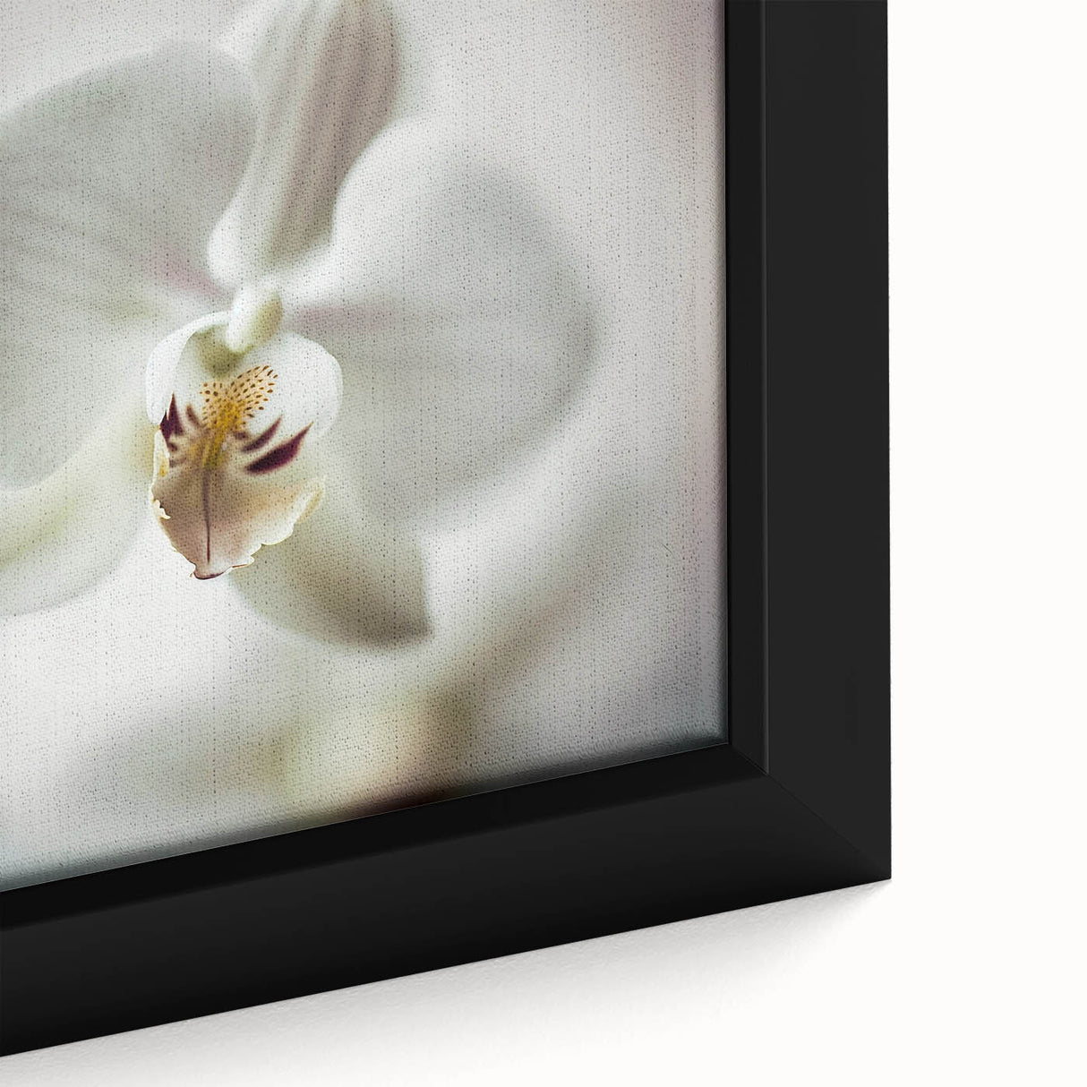 Close-up of a vibrant abstract floral wall art design featuring bold colors and intricate patterns, framed elegantly for modern interior decor. Perfect for enhancing living spaces with a touch of artistic flair.