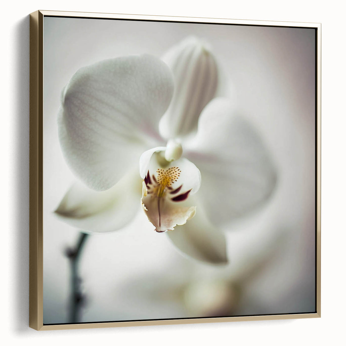 Framed canvas wall art showcasing an abstract floral design in silver and gold hues, perfect for modern home decor. Ideal for adding elegance to any room.