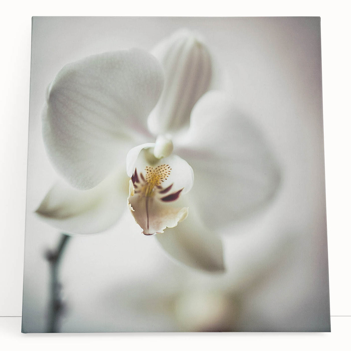 Abstract floral wall art on stretched canvas, showcasing vibrant colors and intricate designs, perfect for home decor. The artwork leans against a neutral wall, adding a modern touch to any interior space.