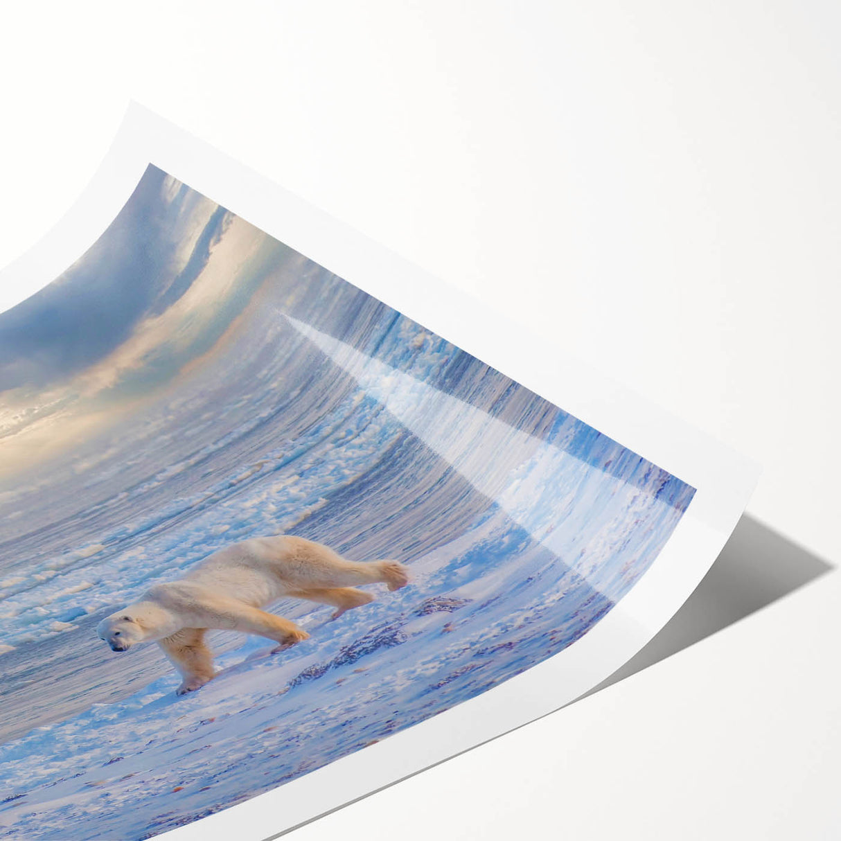 Extra large wall art featuring line art flowers in muted earth tones on a rolled canvas, ideal for large living room decor.