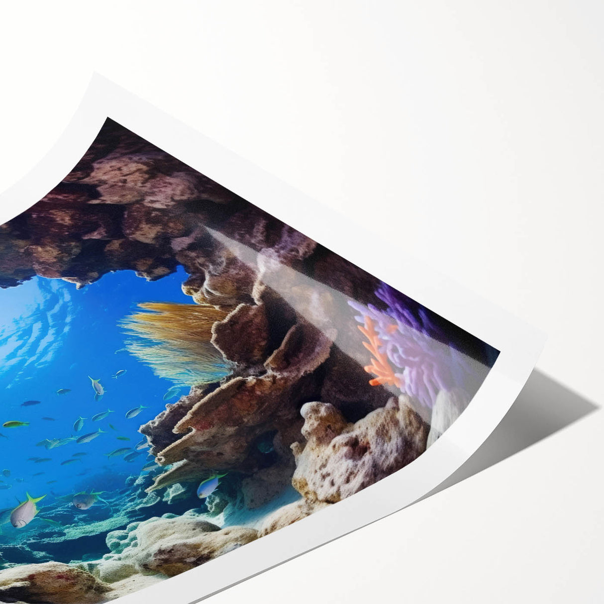 Extra large rolled print featuring line art flowers in neutral tones, ideal for large living room wall decor.