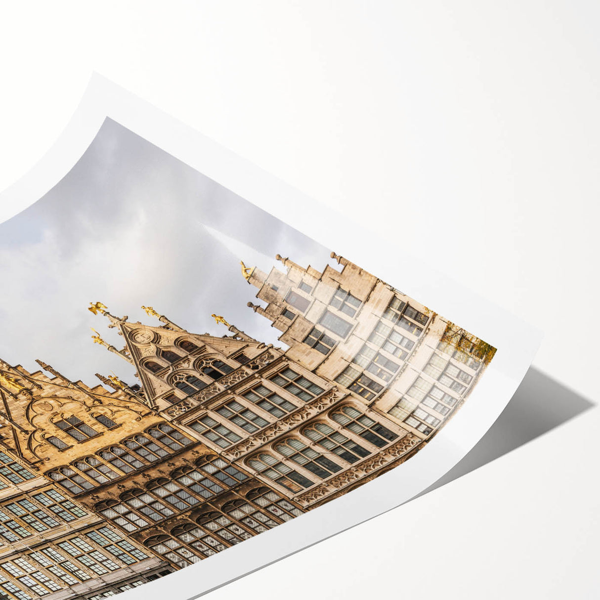 Extra large wall art featuring line art flowers in muted tones on a rolled print, ideal for large living room wall decor.