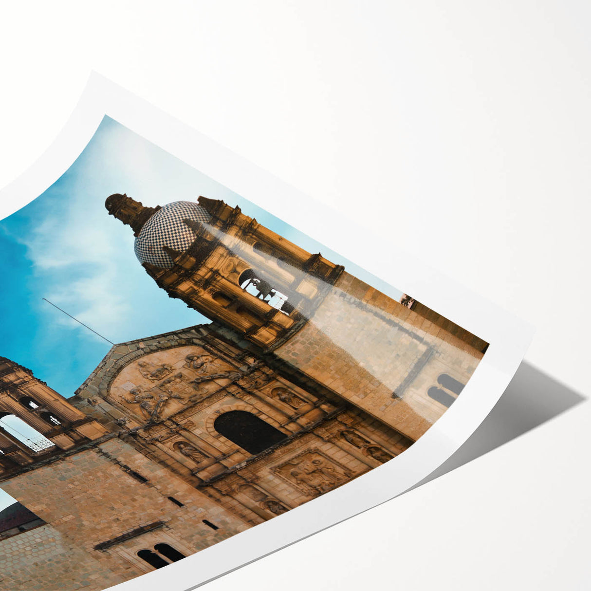 Extra large rolled print featuring line art flowers and a scenic Oaxaca landscape, in muted earth tones.