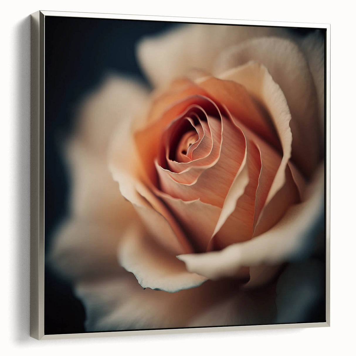 Framed canvas wall art showcasing abstract floral designs in vibrant colors, featuring a sleek silver frame, perfect for modern home decor or office settings.