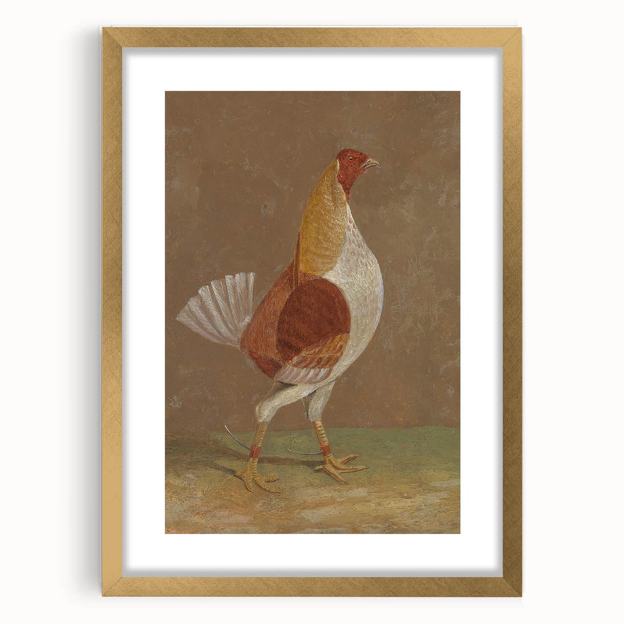 Romantic Era Art: "Pale-Breasted Fighting Cock" by John F. Herring