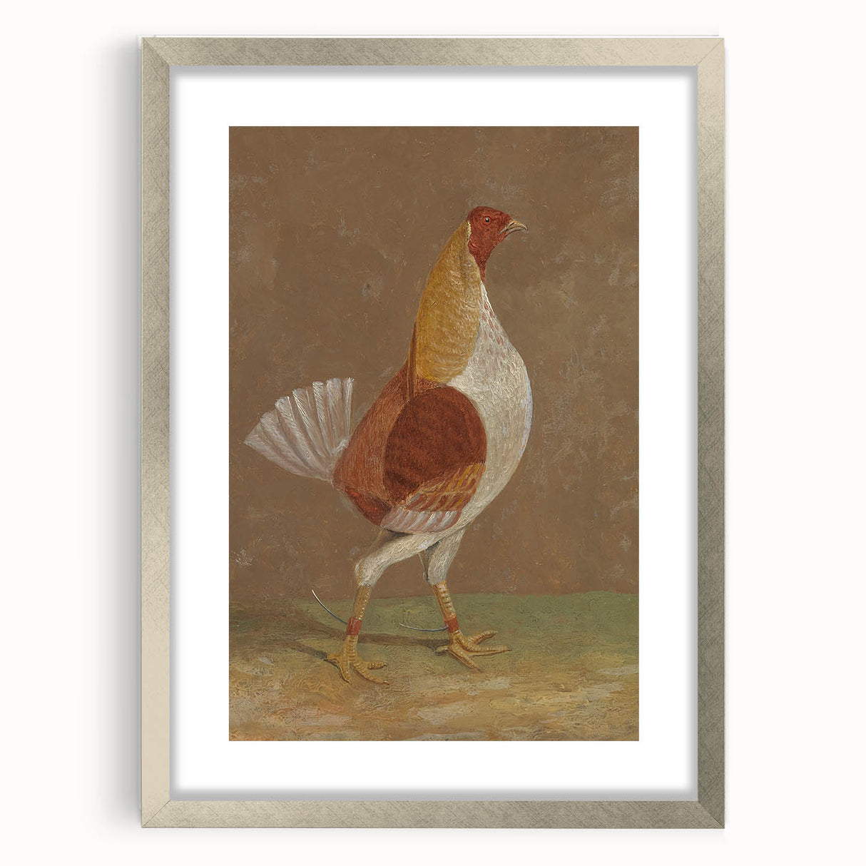 Romantic Era Art: "Pale-Breasted Fighting Cock" by John F. Herring