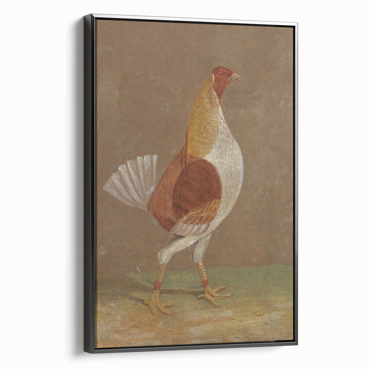 Romantic Era Art: "Pale-Breasted Fighting Cock" by John F. Herring