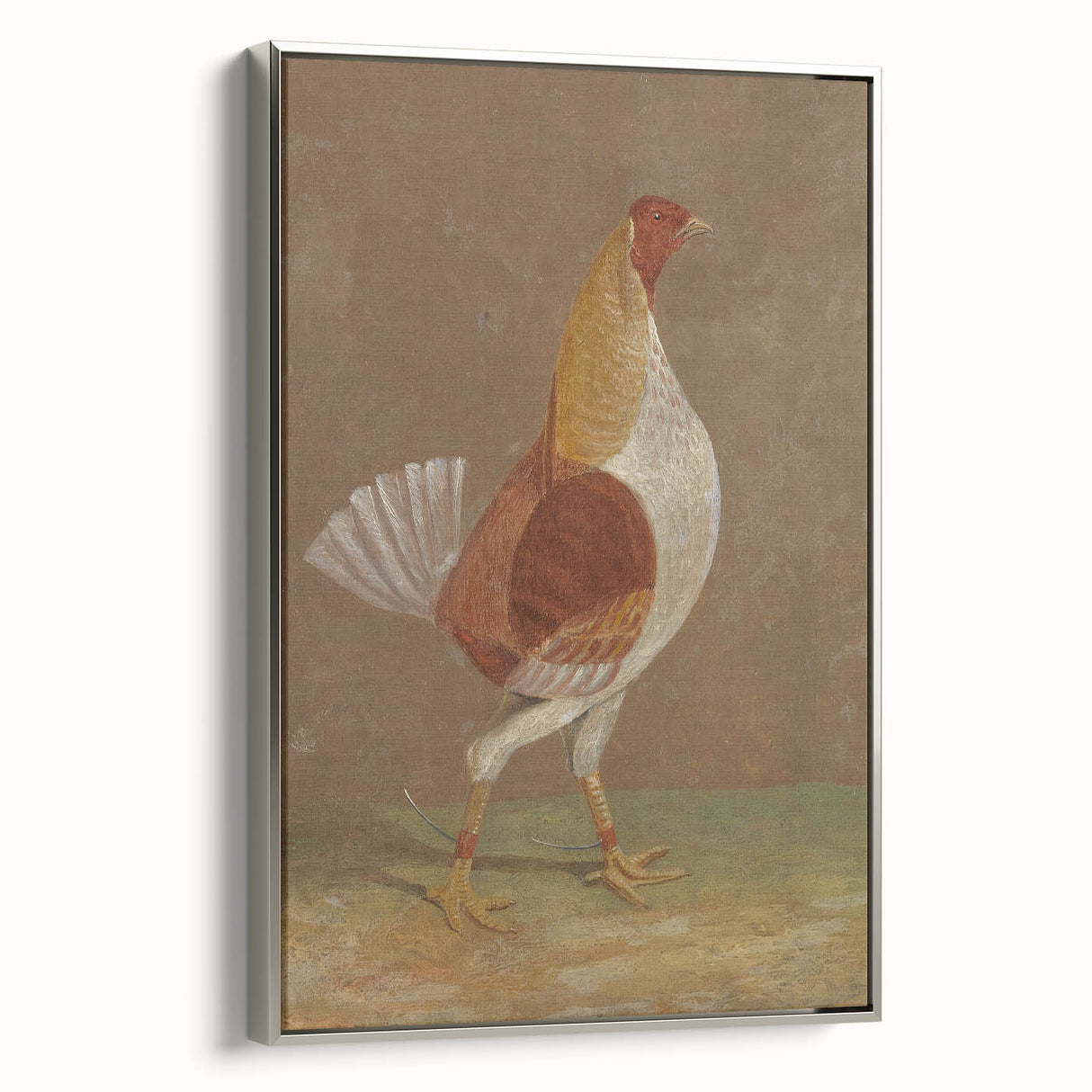 Romantic Era Art: "Pale-Breasted Fighting Cock" by John F. Herring
