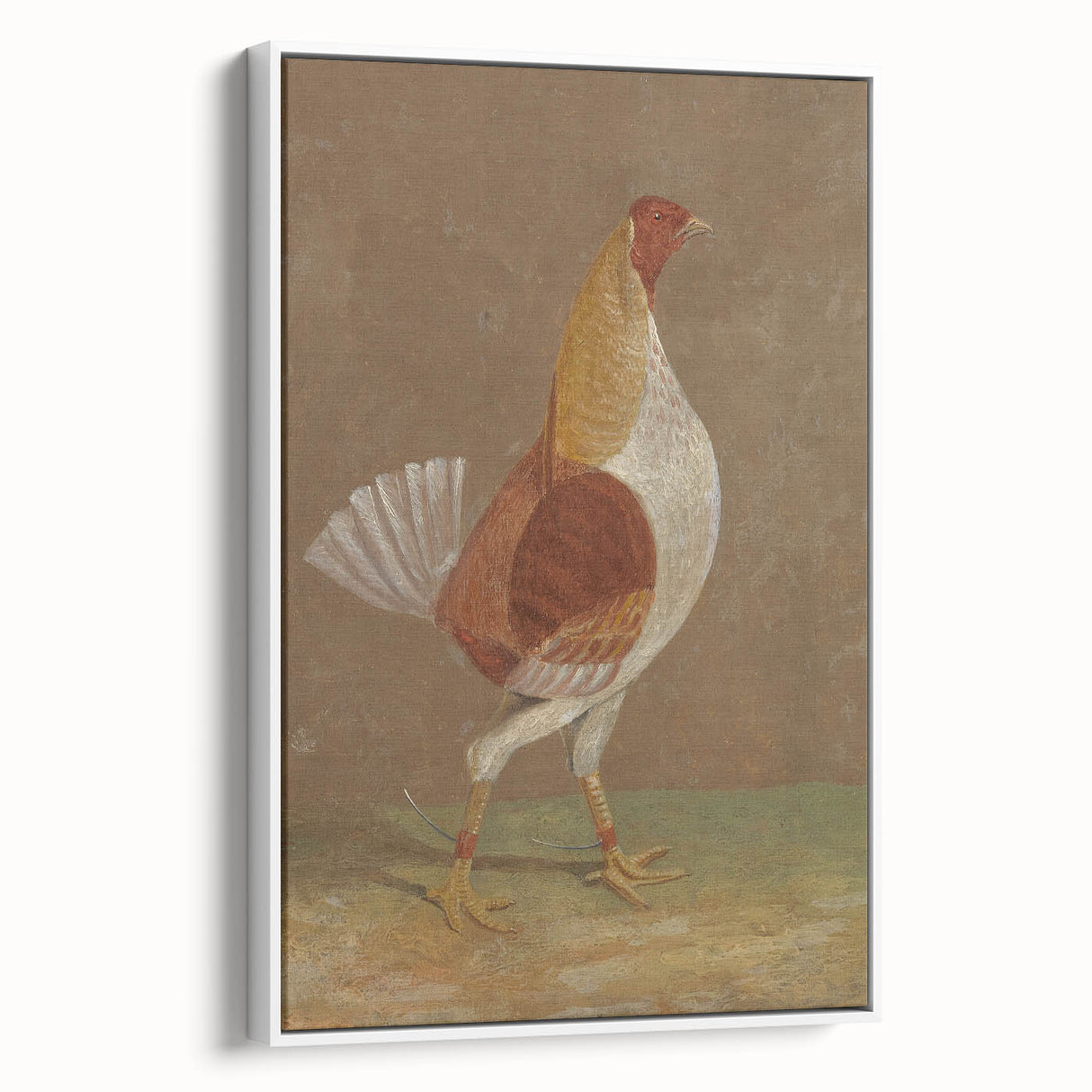 Romantic Era Art: "Pale-Breasted Fighting Cock" by John F. Herring