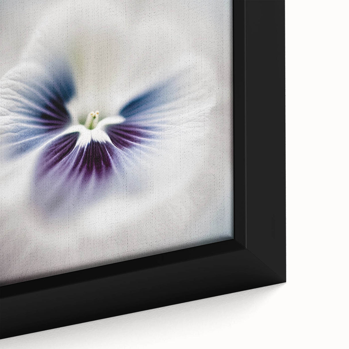 Close-up of framed abstract floral wall art showcasing vibrant colors like blue, pink, and yellow, adding a modern touch to home decor. Perfect for enhancing interior aesthetics.