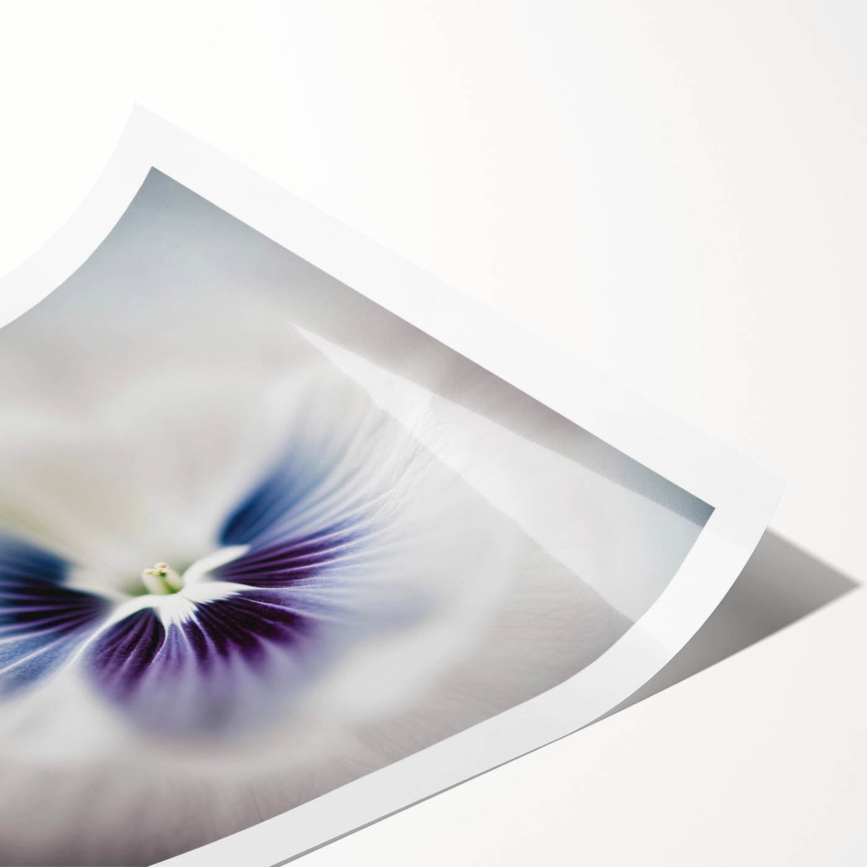 Abstract floral wall art print featuring vibrant colors and intricate designs, rolled and ready for framing, perfect for modern home decor.