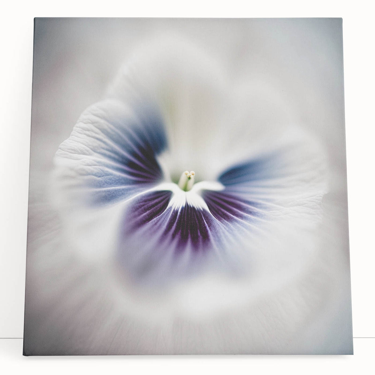 Abstract floral wall art on stretched canvas, showcasing vibrant colors and intricate details, leaning against a wall, ideal for modern home decor.