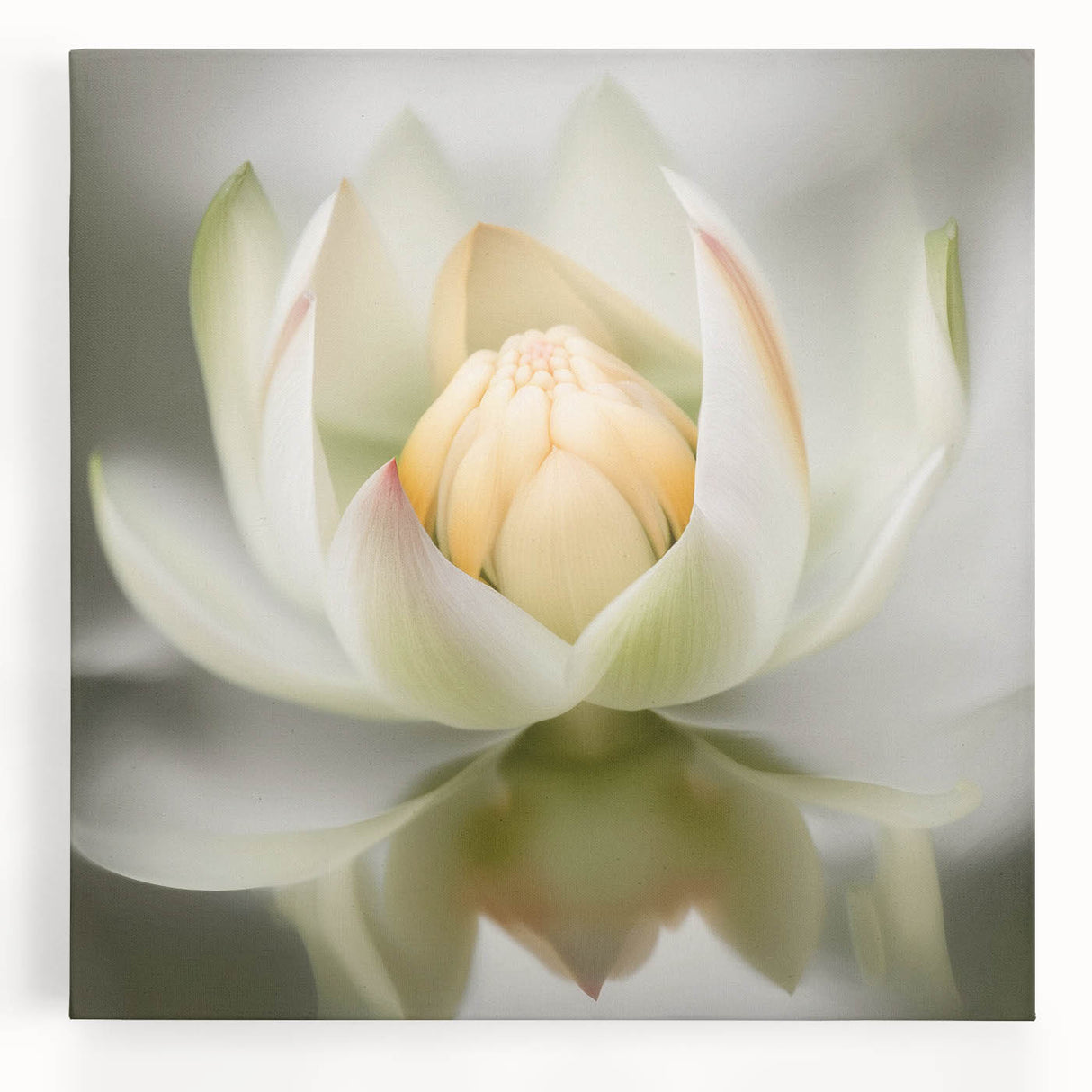 Vibrant abstract floral wall art on stretched canvas, showcasing bold colors of pink, blue, and green, perfect for enhancing modern home decor.